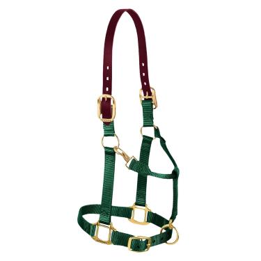 Imagem de Weaver Leather Cabresto de cavalo ajustável de nylon, pequeno, verde caçador