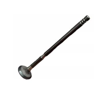 Imagem de Fiat Bravo Punto Palio Valvula De Escape Genuíno 55231699