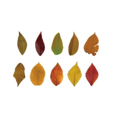 Imagem de Adesivos de folha de outono de 8 estilos – Design realista de folhas prensadas para diário, álbuns, confecção de cartões e artesanato DIY (50 peças)