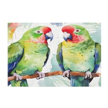 Imagem de Burbuja Tapete de banho Green Parrots, tapete de banheiro absorvente extra macio com suporte antiderrapante para banheiro, banheira e chuveiro, 40 x 61 cm