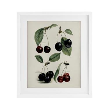 Imagem de Stupell Industries Natural Detailed Cherry Studies Impressão emoldurada branca sob vidro, design por Lettered and Lined, 16 x 13