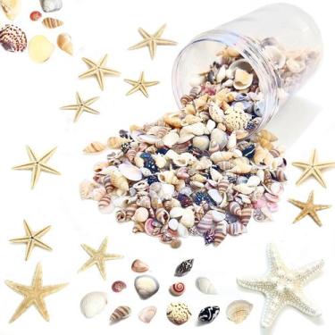 Imagem de Conjunto de conchas marinhas, mais de 1500 unidades, estrelas do mar, 