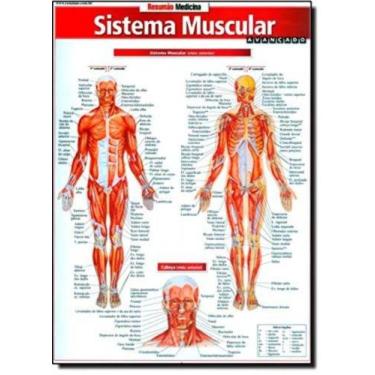 Imagem de Resumao Medicina - Sistema Muscular Avancado, 3