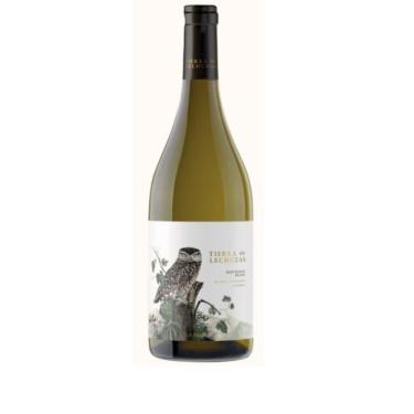Imagem de Vinho Branco Tierra de Lechuzas Sauvignon Blanc 750 ml