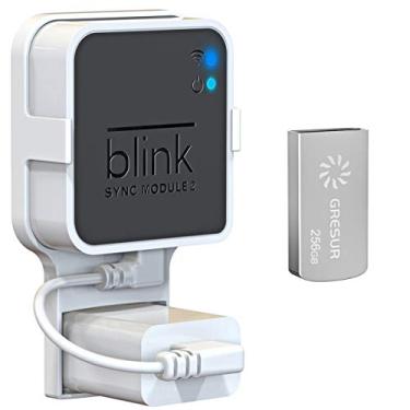 Imagem de Flash Drive USB de 256 GB para armazenamento de vídeo local com suporte para módulo Blink Sync 2 (Blink Add-On Sync Module 2 não está incluído)