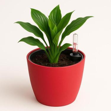 Imagem de Vaso Autoirrigável com Medidor de Nível de Água 13cm - GIFT HOME, VERM