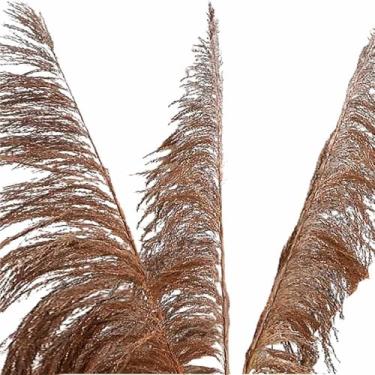 Imagem de Planta Seca Capim Cana Brava 120 cm