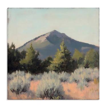 Imagem de Stupell Industries Tucson Mountain Landscape Canvas Wall Art, design by Petal Prints Design, 17 x 17