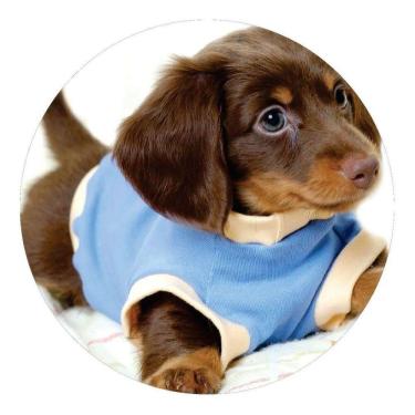 Imagem de Capa De Estepe Ecosport Aircross Crossfox Totó Roupa Azul