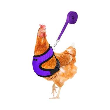 Imagem de Coleira Peitoral Para Galinhas, Patos E Aves De Estimação Com Laço Com