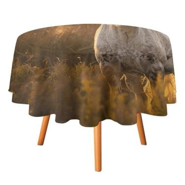 Imagem de BWQSKL Toalha de mesa redonda – Toalha de mesa lavável com fotos de cavalo real, à prova de poeira, resistente a vincos para sala de jantar, festa, piquenique ao ar livre