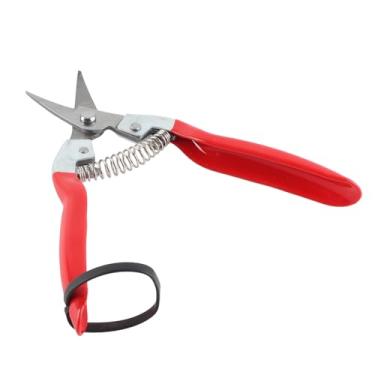 Imagem de RiToEasysports Tesouras de Poda, Tesoura de Jardim de Aço Inoxidável Com Mola de Economia de Esforço para Aparar Legumes Flores Ramos de árvores de Fruto (Cabeça inclinada)