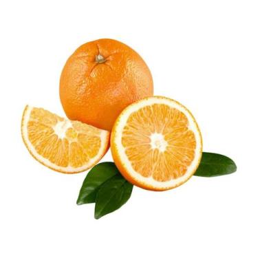 Imagem de Muda Frutífera de Laranja Rubi Enxertada (Precoce) - AgroJardim
