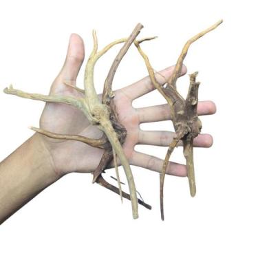 Imagem de Raiz Pequena 8 a 18cm Aquario Peixe Plantado Betta Guppy Pet - Dunimal