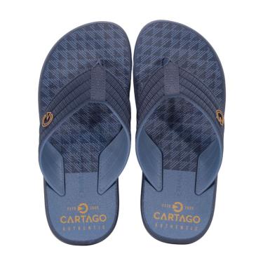 Imagem de Chinelo Infantil Cartago 12515 Montreal Azul