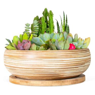 Imagem de ARTKETTY Vasos de suculentas – Vaso grande de 19 cm com bandeja de bambu, vasos rasos de bonsai com drenagem, vaso de cerâmica para plantas de interior, cacto, decoração de mesa de escritório em casa