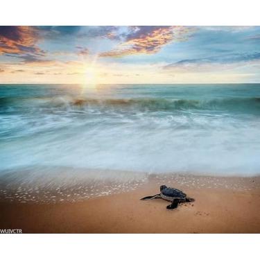 Imagem de WUIVCTR Paint by Number Beach Turtle DIY Kit de pintura a óleo por número para adultos pintura em tela iniciante por números, pintura a óleo acrílica, arte, artesanato, pôr do sol, tartarugas marinhas