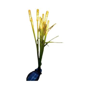 Imagem de Luzes De Jardim Solares À Prova d'Água LED Para Paisagismo Em Lago, Pá