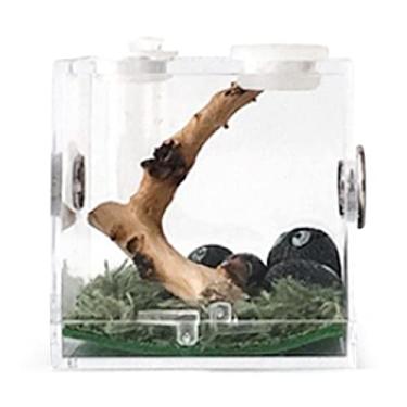 Imagem de Mini alimentação insetos, capa habitat réptil transparente acrílico, para aranha lagarto geckos caracóis besouros, caixas reprodução répteis portáteis para animais estimação, visualização insetos com Baodan anti-escape