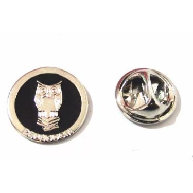 Imagem de Broche Pedagogia Professora Coruja Folheado Níquel