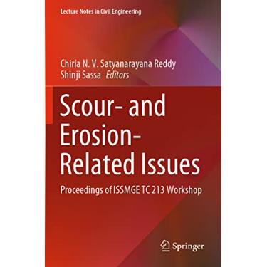 Imagem de Scour- And Erosion-Related Issues: Proceedings of Issmge Tc 213 Workshop: 177