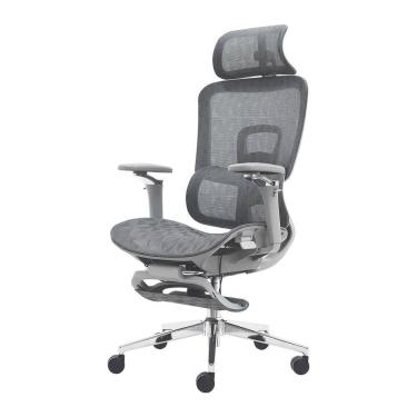 Imagem de Cadeira Ergonômica Office Mesh Premium Reclinável Braço 5D Cinza