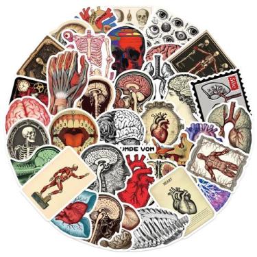 Imagem de Adesivos, anatomia vintage, diagrama de órgão humano, 50 unidades - yi