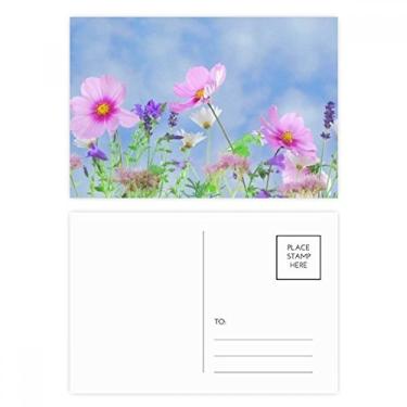 Imagem de Fundo azul, conjunto de cartões postais roxos e rosa para aniversário, cartão de agradecimento