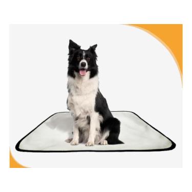 Imagem de Tapete Canino Lavável Pet Em Oferta 3Un M - 60 X 80 Cm - Shelby Moda P