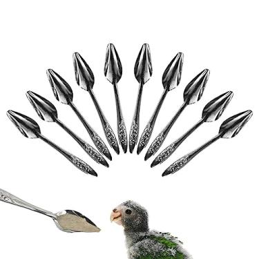 Imagem de alimentação para pássaros | Colheres Leite Pássaro Metal Alimentação Da Mão - Colheres leite pássaros metal para alimentação manual para periquitos, Thaely