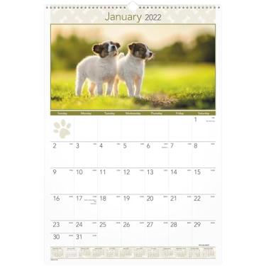 Imagem de Calendário de parede 2022 da AT-A-GLANCE, mensal, 39 x 58 cm, grande, filhotes (DMW16728)