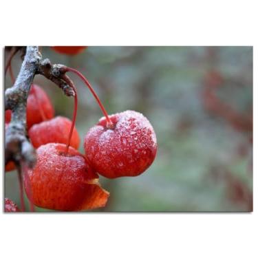 Imagem de Frost Wall Art Icy Canvas Prints Cold Poster For Home Conjunto de 1 Decorações Noframed 30.5 cm x 20.3 cm