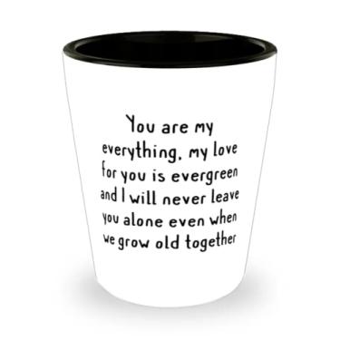Imagem de Presentes de esposa mordida, You are my everything, my love for you is evergreen and I will never leave, copo de shot brilhante do dia dos namorados da esposa