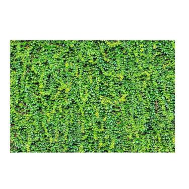 Imagem de Fundo Fotográfico Newborn Muro Inglês 3,0X2,5 Ffg-094