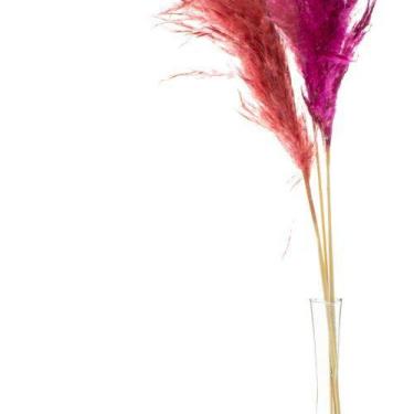 Imagem de Arranjo + Vaso de Flores Secas Capim dos Pampas colorido - Noiva Novid