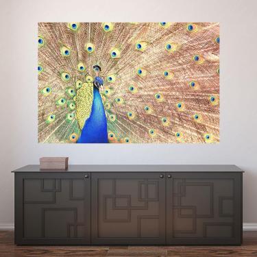 Imagem de Painel Adesivo de Parede - Pavão - Animais - 1724pnp