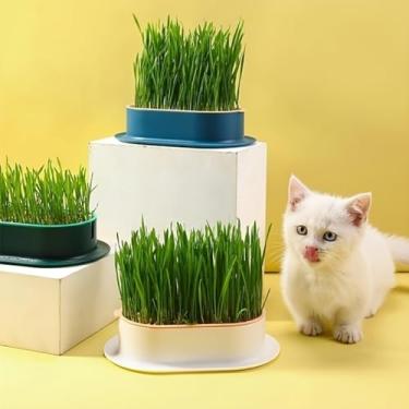 Imagem de Bandeja de cultivo de grama para gatos sem BPA base de jardinagem interna sem sementes para vasos | Cultivador de grama para animais de estimação (sem sementes)