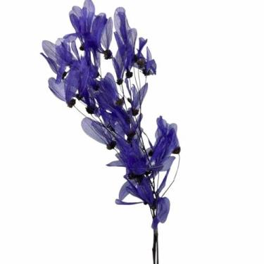 Imagem de Planta Seca Folha Cabo Verde Esquelatizada Roxo 50cm - Pense Flores