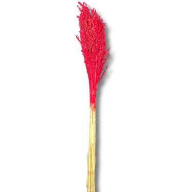 Imagem de Buquê Flor De Vassoura Cores Natural Arranjo Decoração Festa - Flora F
