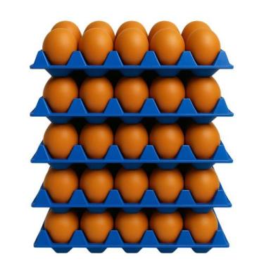 Imagem de Kit 10 Cartela De Ovos Plástica Bandeja 30 Ovos Higiênica Reutilizável