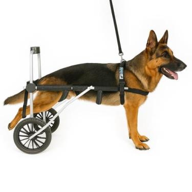 Imagem de Cadeira De 4 Rodas Cachorro Tam. Xg Extra Grande Regulável Patas Trase