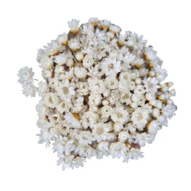 Imagem de Sempre Viva para Decoração – Buquê Premium de Flores Secas Naturais (Tipo 1 Extra) para Arranjos, Artesanato e Ambientes Internos | NÃO ACOMPANHA VASO(4,Azul Escuro)