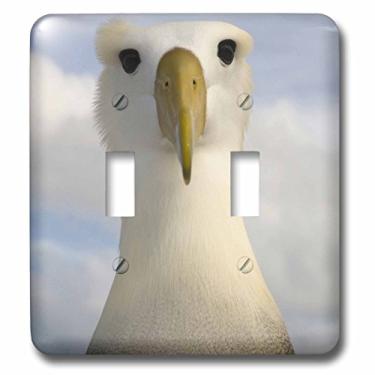 Imagem de 3dRose lsp_86304_2 Waved Albatross, Punta Cevallos, Ilhas Galápagos Sa07 Pox0908 Pete Oxford Interruptor duplo