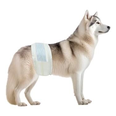 Imagem de BV Fraldas para Cães Masculinos Grandes(Cintura 21-26 Pol.) Super Absorventes - Fraldas para Cães Masculinos de 50 Contagens Descartáveis - Fraldas para Cães com Indicador de Umidade - Envoltórios Aju