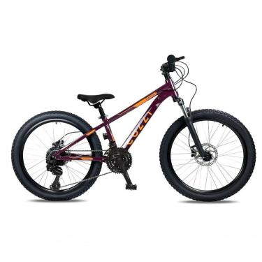 Imagem de Bicicleta Colli Napoli Sport Aro 24 Roxo