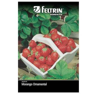 Imagem de Sementes de Morango Ornamental Vermelho Ruge FELTRIN
