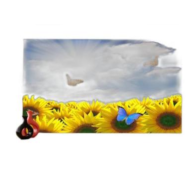 Imagem de Papel De Parede 3D Céu ul Girassol Borboleta 3,5M Nsk108 - Você Decora