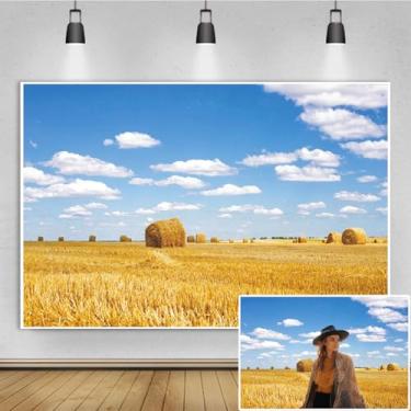 Imagem de Renaiss 2,1 x 1,5 m de colheita de feno, palheiro, campo de trigo, nuvem, céu azul, fundo de fotografia rural, país ocidental, decoração de festa de aniversário, faixa infantil caubói artístico para