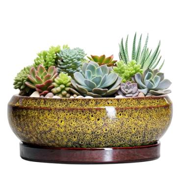 Imagem de EPFamily Vasos grandes para suculentas - vaso de bonsai de cerâmica de 33 cm, vasos de plantas rasas internos com orifício de drenagem e bandeja, vaso de tigela ao ar livre, plantador de suculentas