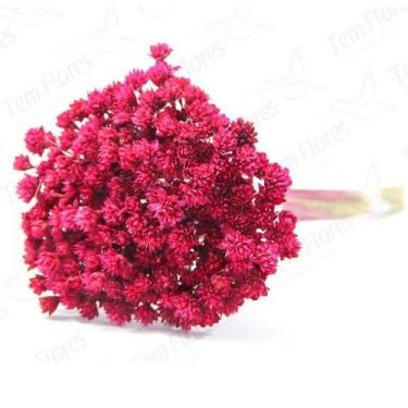 Imagem de Espeta Nariz Desidratado Sempre Viva Flores Secas - Pense Flores, Pink